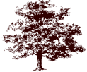 Родословная